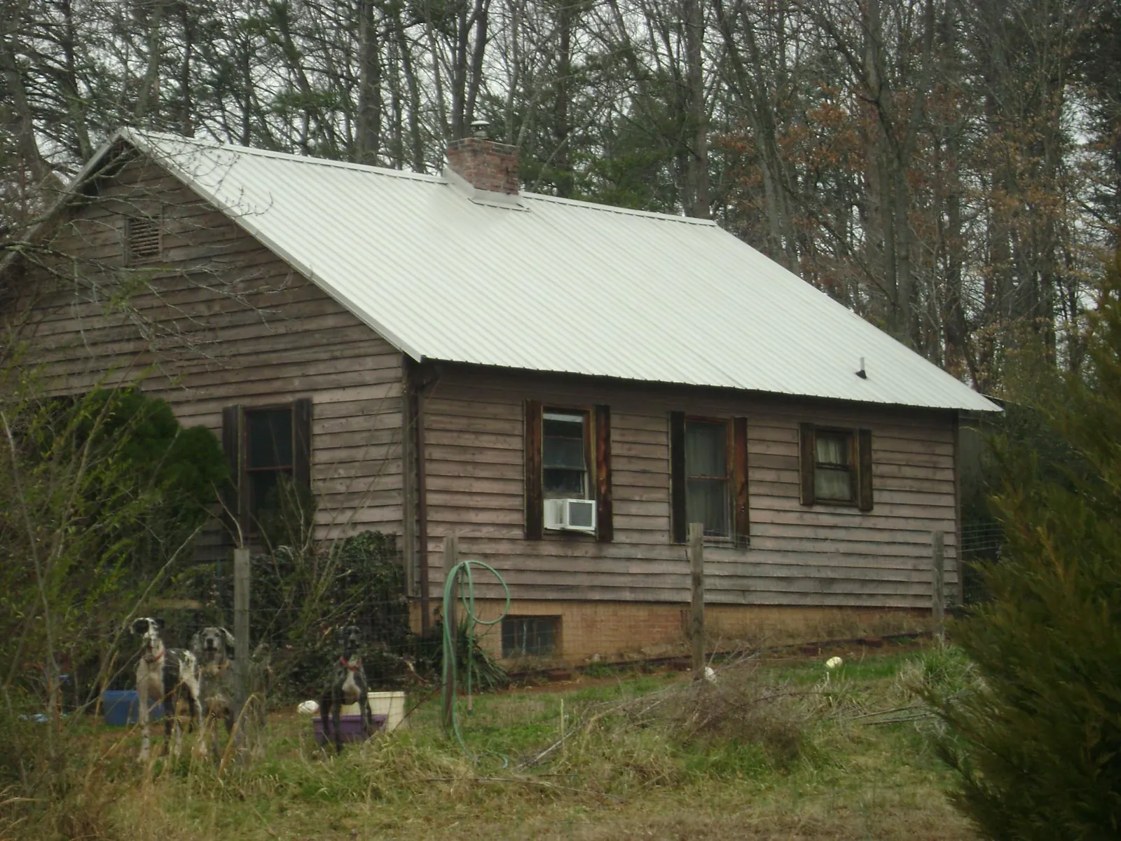 White metal roof on an old wood sided farmhouse, from a Asphalt Shingle Roof Repair job in Ballantine